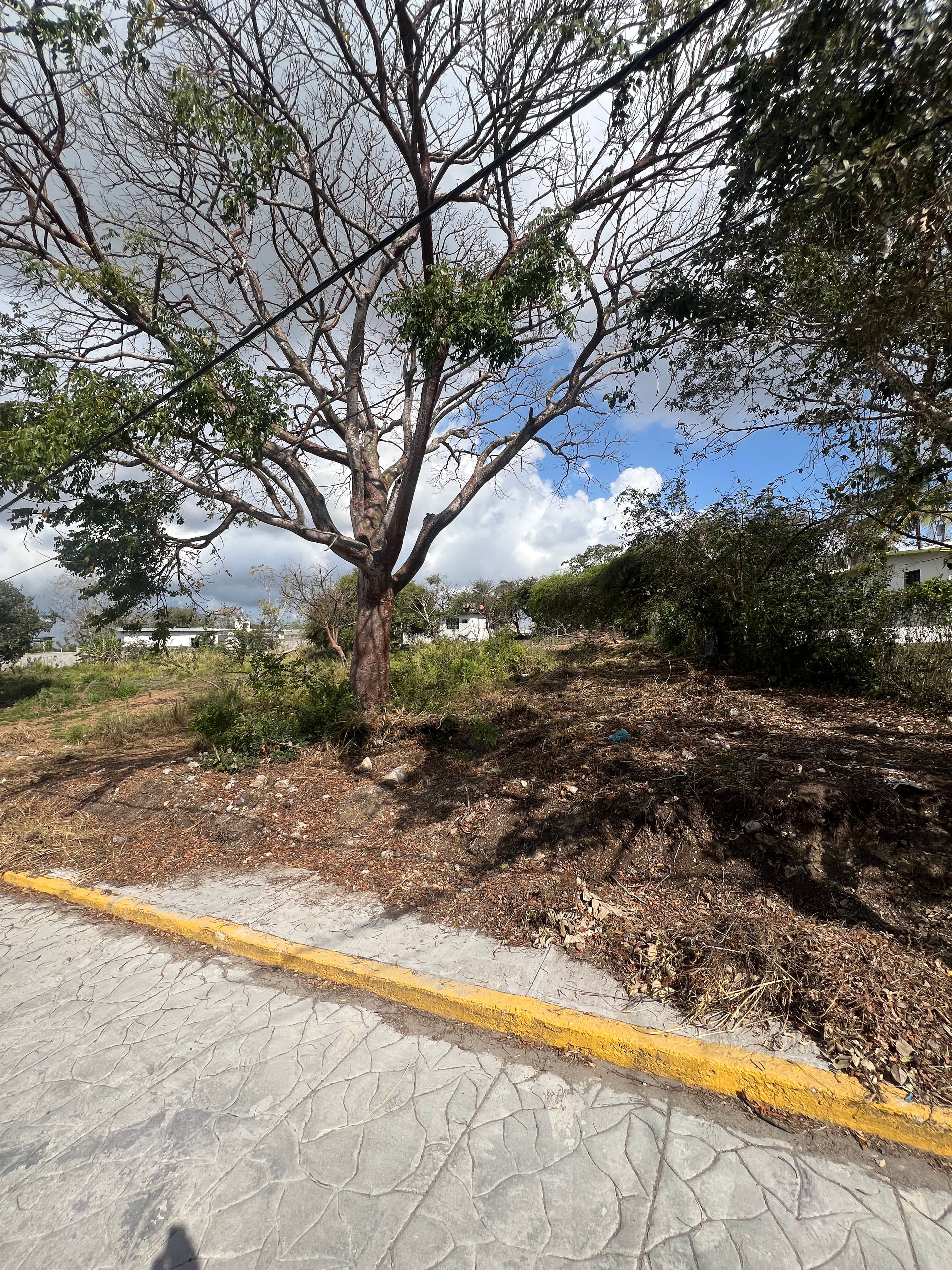 Foto de propiedad Rich Estate