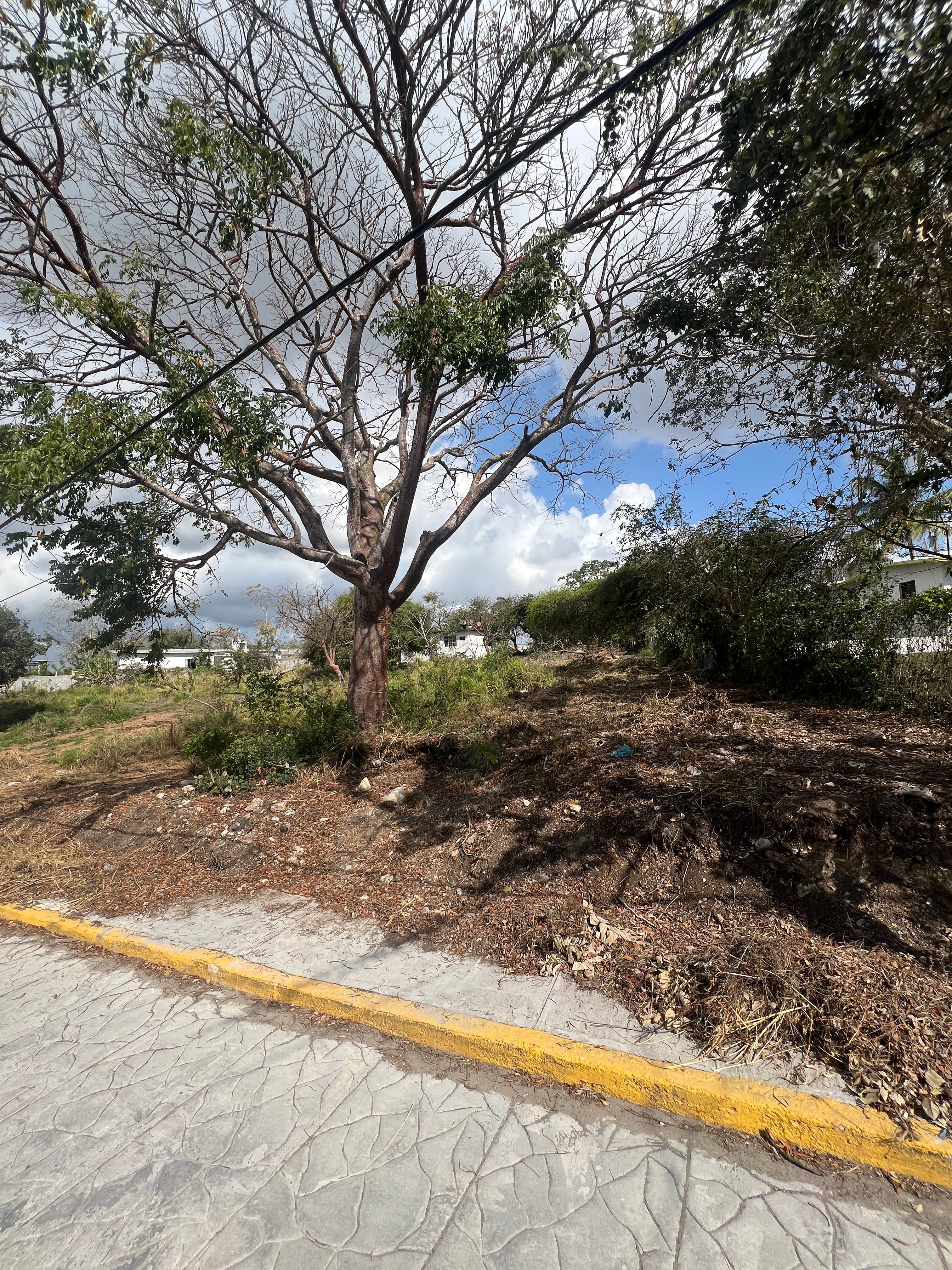 Foto de propiedad Rich Estate